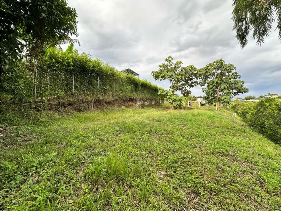 Lote 1.250Mts en venta vía Pereira Alcalá - 1