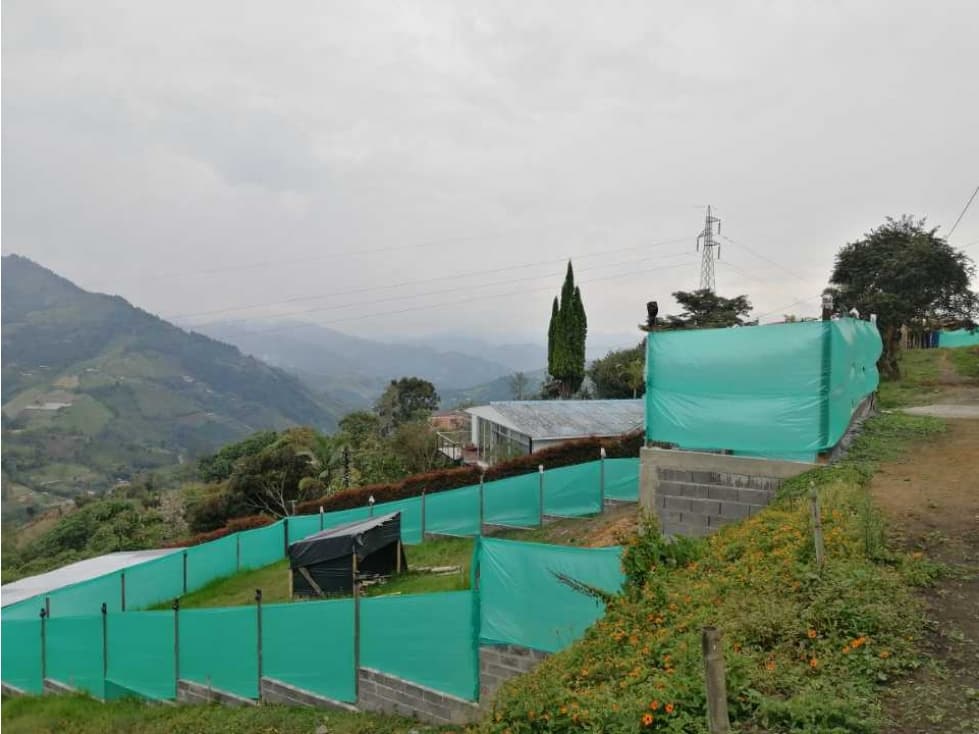 Lote Altos Del Portón Villamaria Caldas - 1