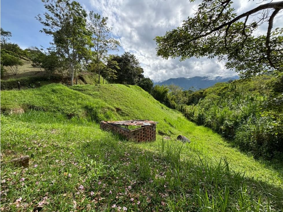 Lote Andes vereda taparto sector fonda la Camelia suroeste - 1