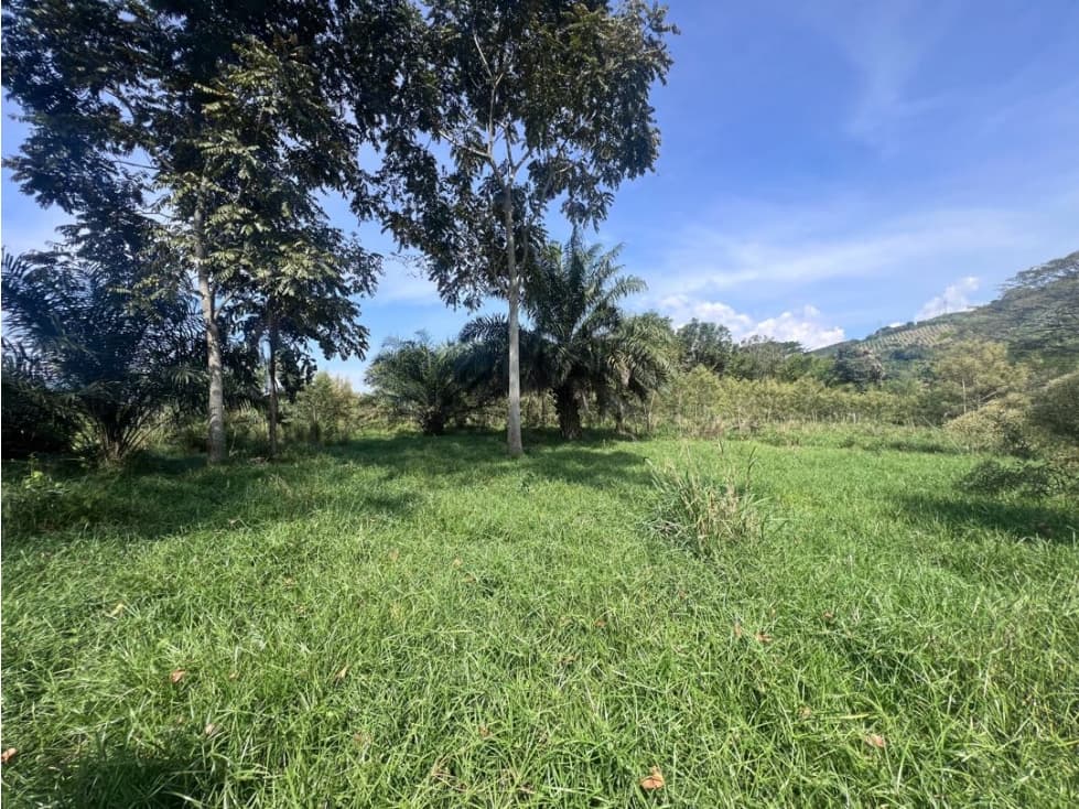 Lote Campestre Las Margaritas Cambia Caldas - 1