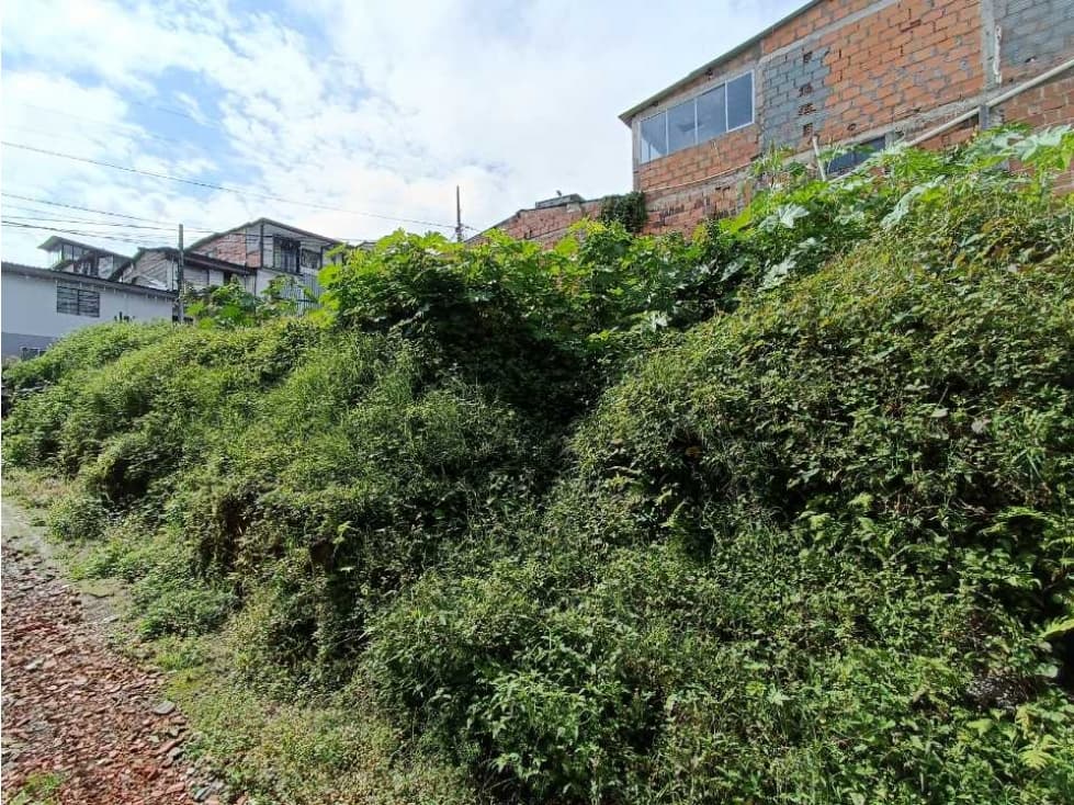 Lote Centro Villamaría Caldas - 1