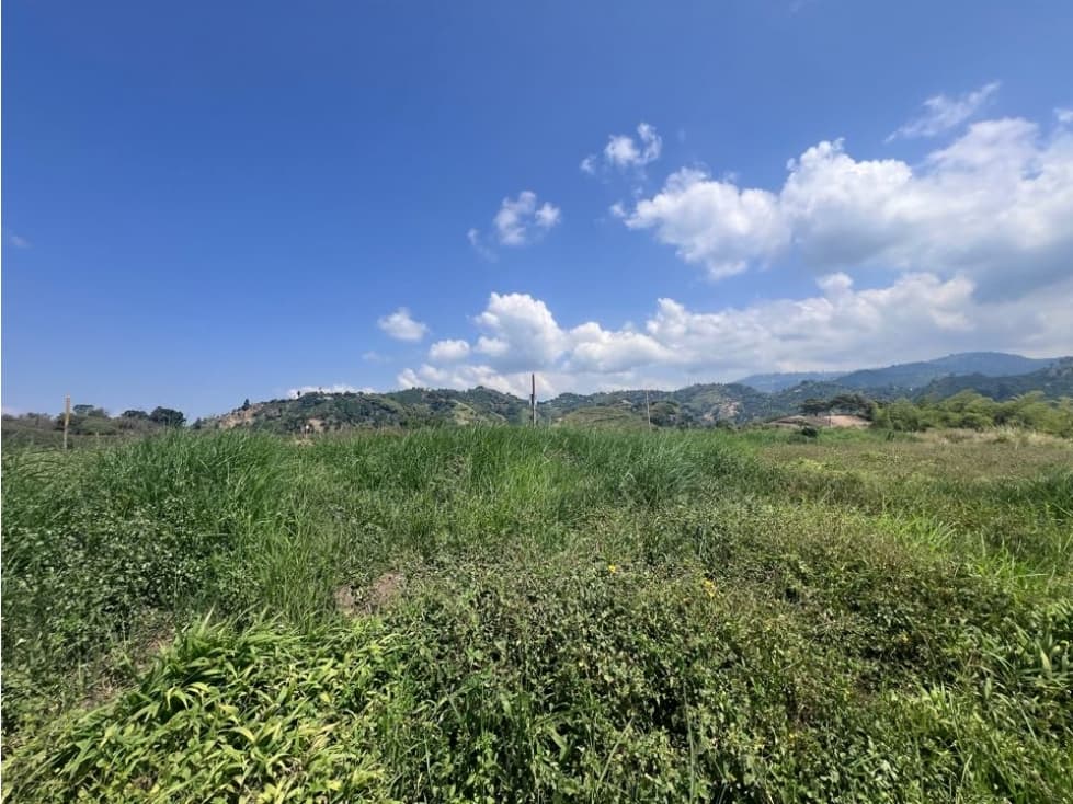 Lote Condominio Campestre El Rosario Manizales - 1