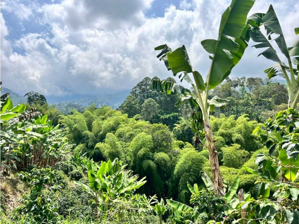 Lote de 11000m2 con vista y quebrada a 3.8 km de cordoba - 1