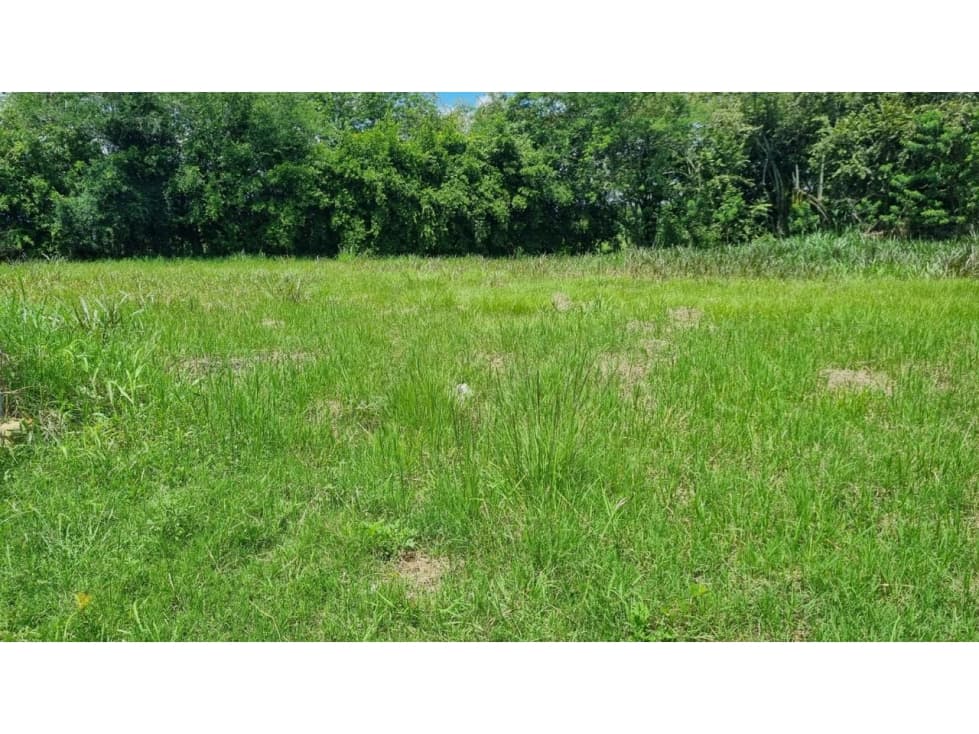 Lote de 1.485m2 en parcelación en venta Santa Elena El Cerrito Valle - 1