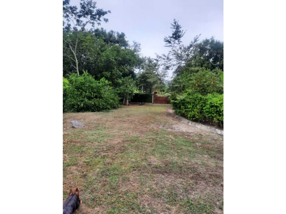 Lote En San Jerónimo - 1