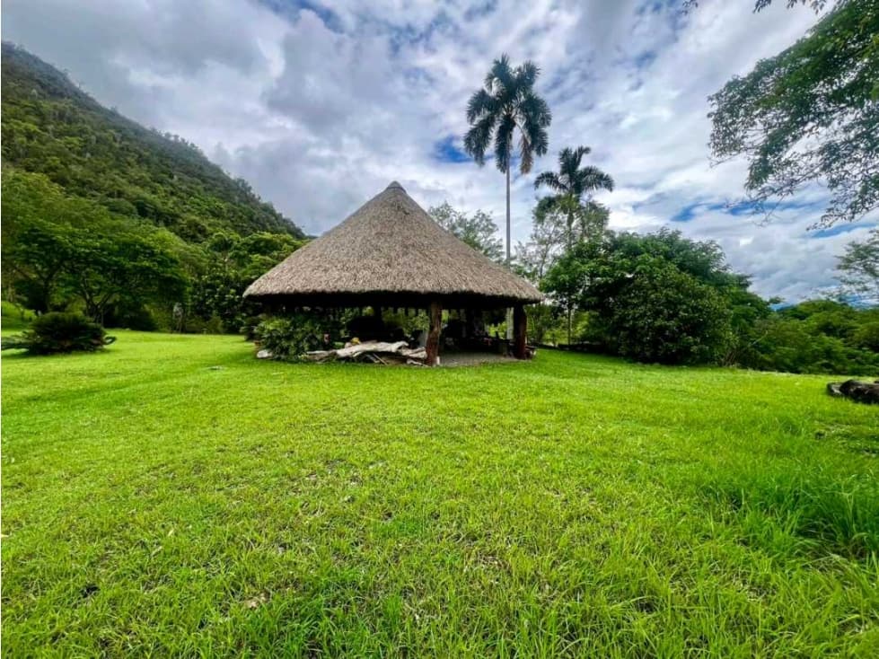 Lote en U/C Damasco - 1