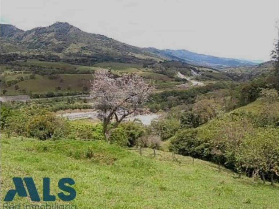 Lote en venta cerca a Medellín.(MLS#243181) - 1