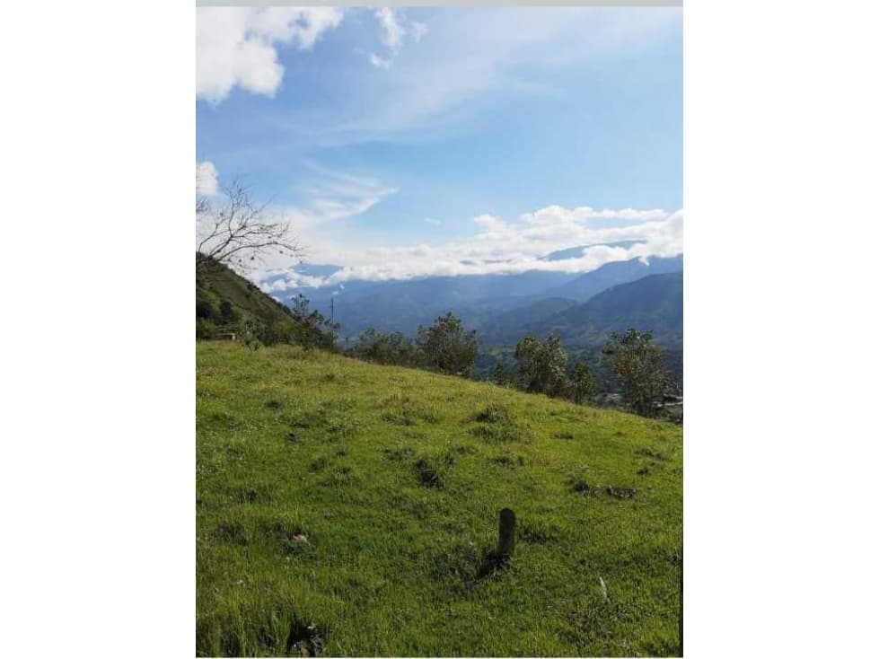 Lote en venta de 20 Hectáreas San Jerónimo - Antioquia - 1