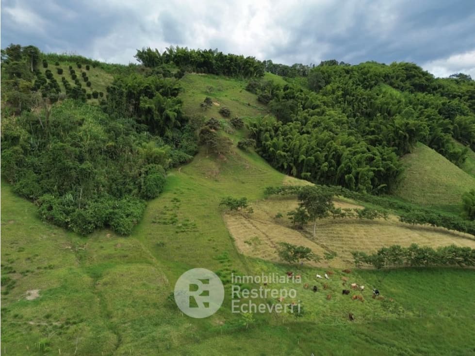 Lote en venta, El Rosario, Manizales - 1