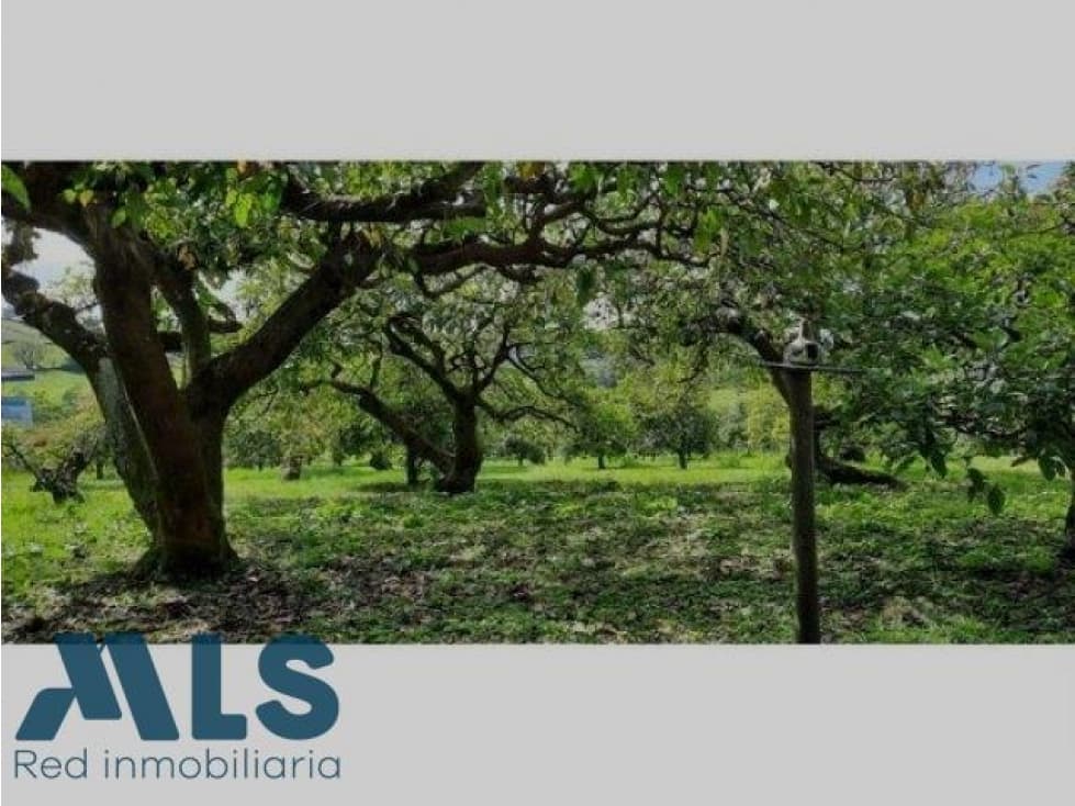 LOTE EN VENTA EN EN CARMEN DE VIBORAL(MLS#251949) - 1