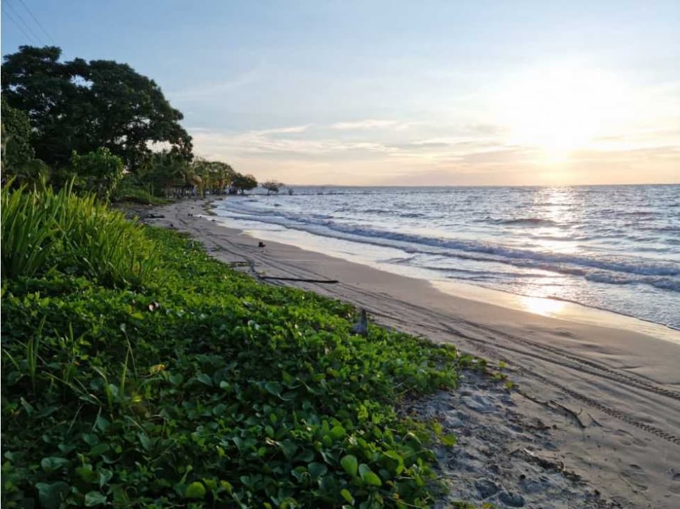 LOTE EN VENTA FRENTE A LA PLAYA EN COVEÑAS SUCRE - 1