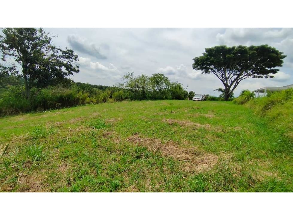 LOTE EN VENTA EN ALCALA, VÍA HACÍA CARTAGO Y QUIMBAYA - 1