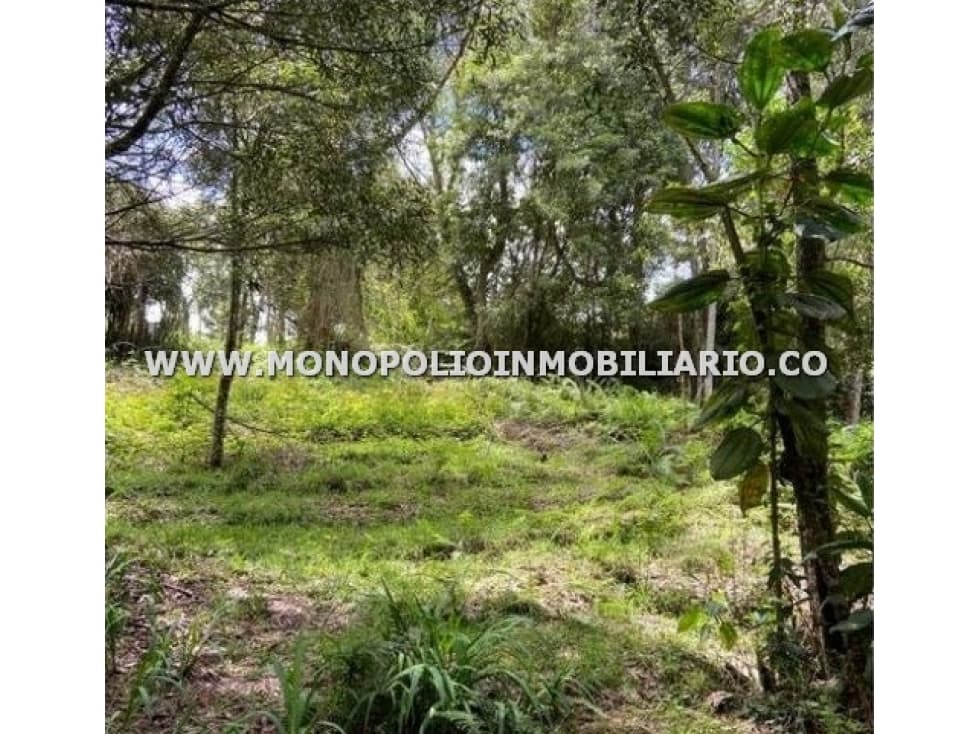 LOTE EN VENTA - SECTOR CERRO VERDE, SANTA ELENA COD: 23018 - 1