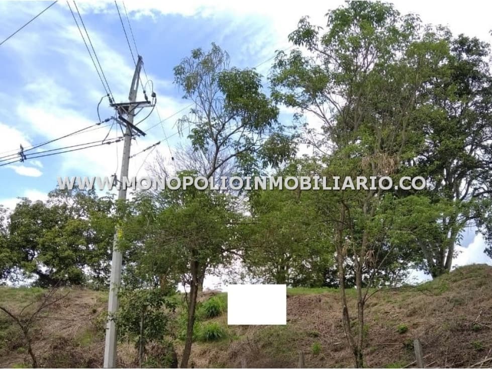 LOTE EN VENTA - SECTOR CORREGIMIENTO CORDOBA, SOPETRAN COD: 22463 - 1
