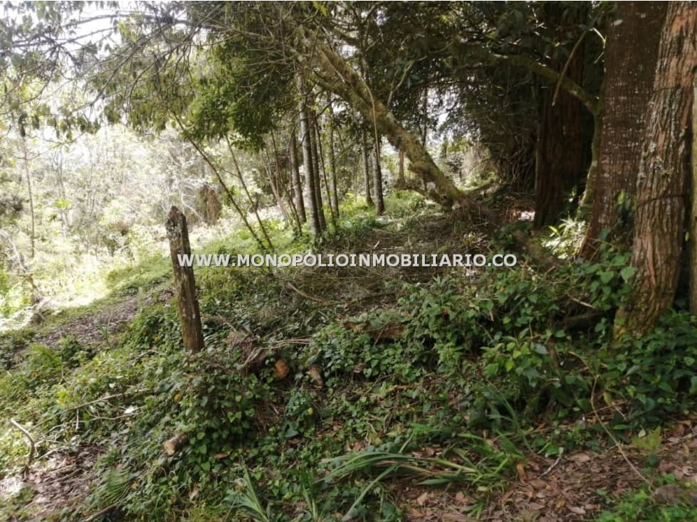 LOTE EN VENTA - SECTOR EL PLACER, SANTA ELENA COD: 23468 - 1