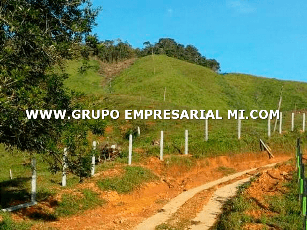 LOTE EN VENTA - SECTOR LA QUIEBRA, AMALFI COD: 22939 - 1