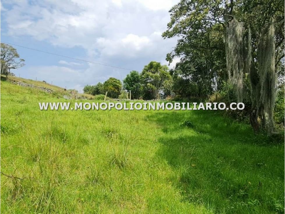 LOTE EN VENTA - SECTOR PAJARITO, SAN CRISTOBAL COD: 24445 - 1