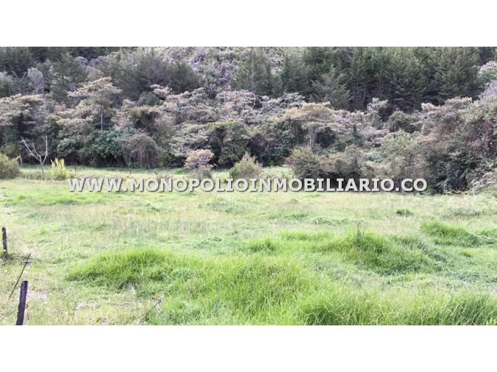 LOTE EN VENTA - SECTOR PANTANILLO, EL RETIRO COD: 21871 - 1