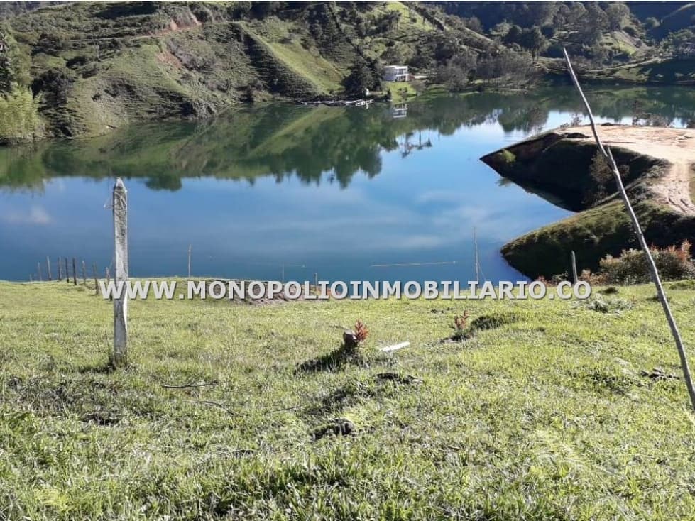LOTE EN VENTA - SECTOR PEÑOLCITO, GUATAPE COD: 23185 - 1