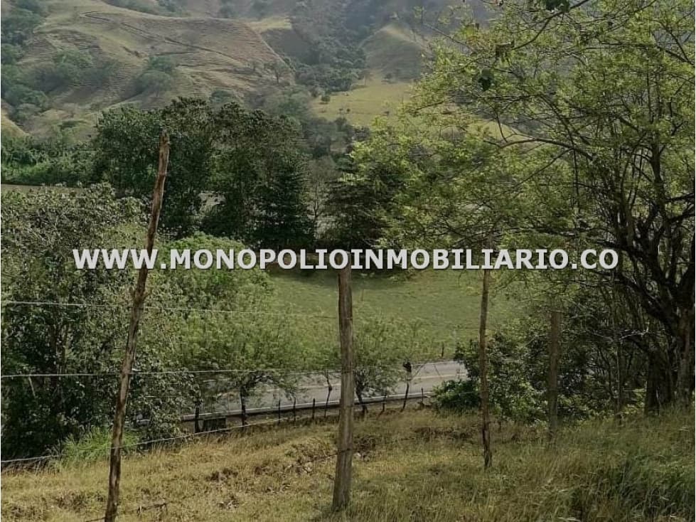 LOTE EN VENTA - SECTOR SANTA FE DE ANTIOQUIA COD: 23470 - 1