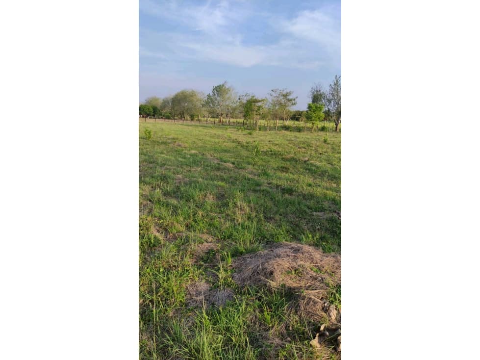 LOTE EN VENTA VIA MONTERIA ARBOLETES EN LOS CEDROS - 1
