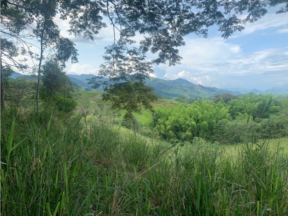 Gran Lote Finca Vereda Cambia Manizales Pereira - 1