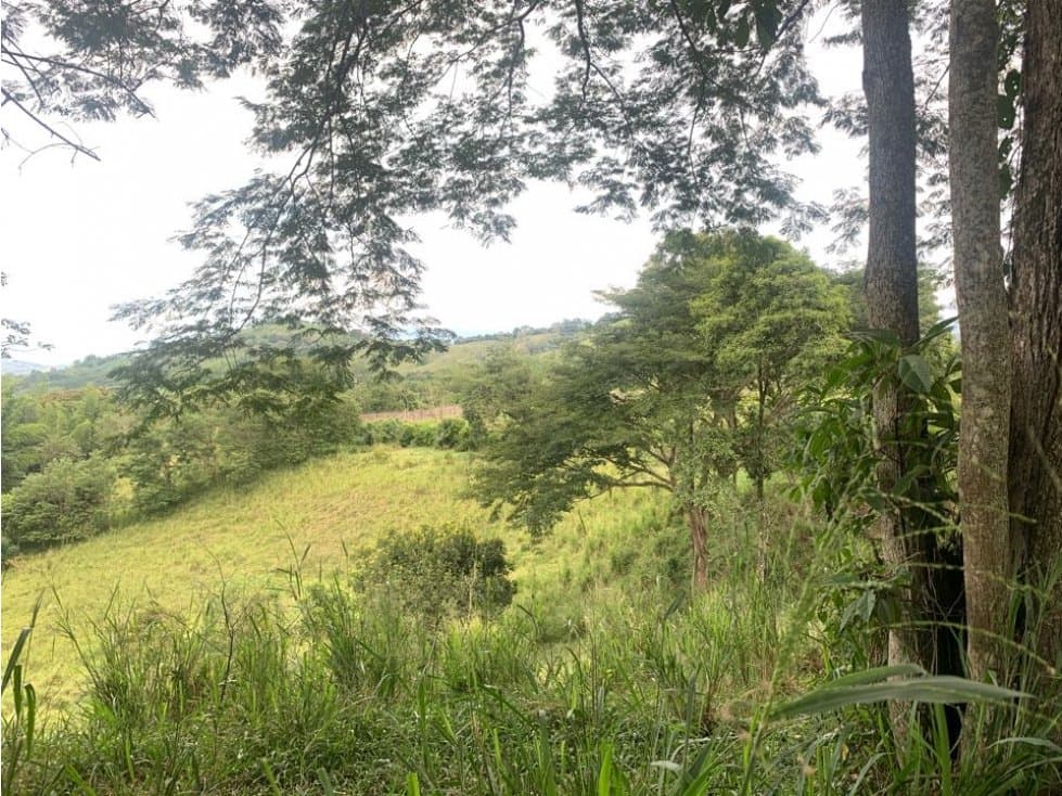 Lote Finca Cambia Manizales Pereira - 1