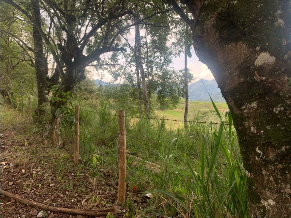 Lote Finca Cambia Manizales Pereira - 1