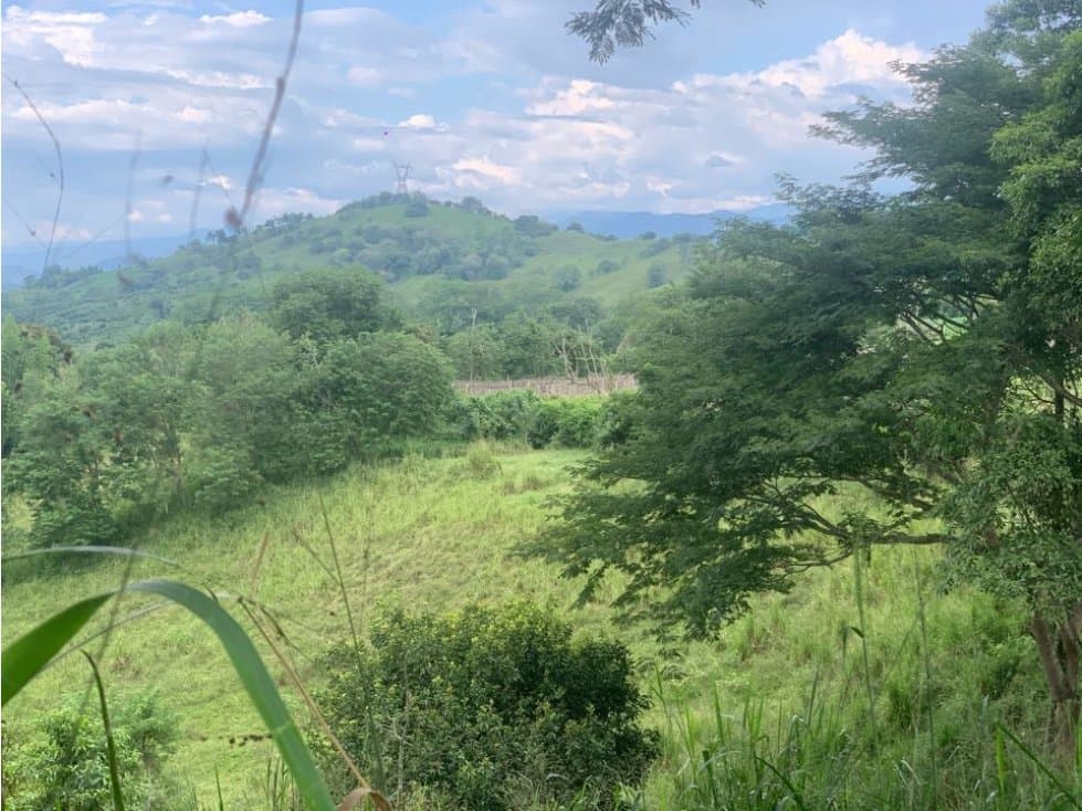 Lote Agrícola o Vivienda Campestre Cambia Manizales Pereira - 1