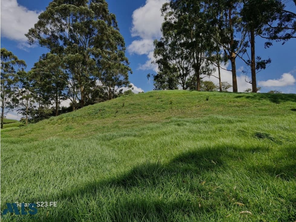 Lote Independiente Para Venta En El Carmen de Vibo...(MLS#250516) - 1