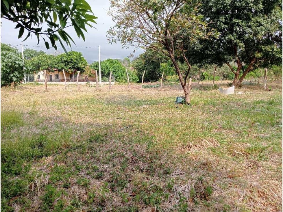 Lote para casa campestre en bonda - 1