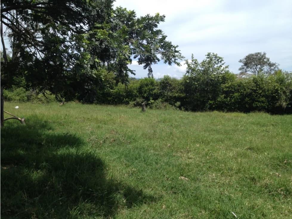 SE VENDE LOTE PLANO EN FUSAGASUGA CUNDINAMARCA - 1