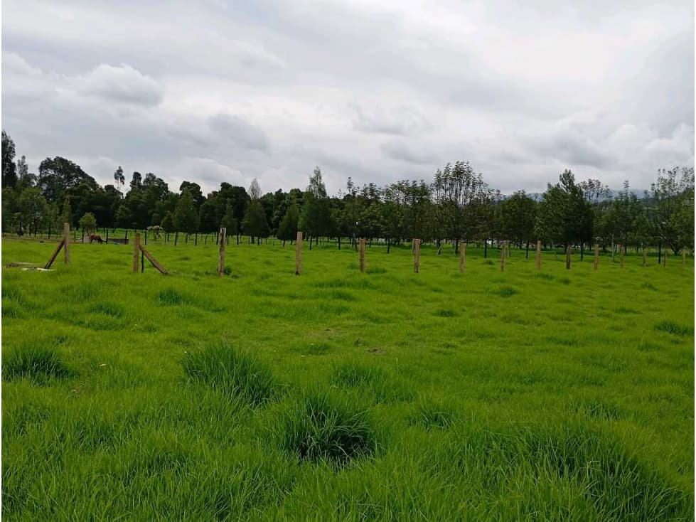 LOTE SE VENDE EN PAIPA BOYACA - 1