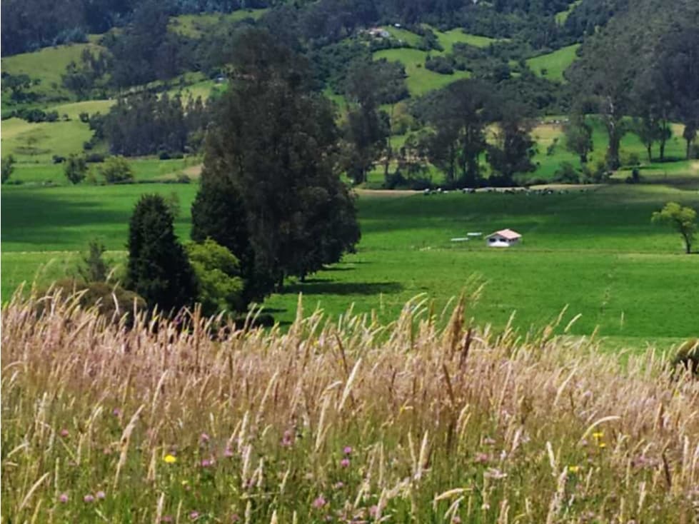 LOTE RURAL 5.000 m2. CONSTRUIR CASA CAMPESTRE SOTAQUIRÁ - BOYACÁ - 1