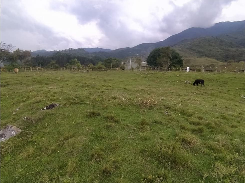 Lote terreno de 11.075m2 en venta Santa Elena El Cerrito Valle - 1