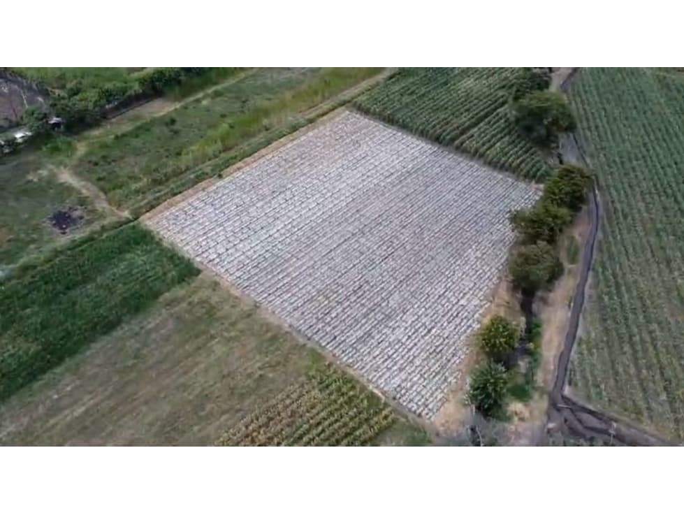 Lote terreno de 6.044m2 en venta Santa Elena El Cerrito Valle Colombia - 1