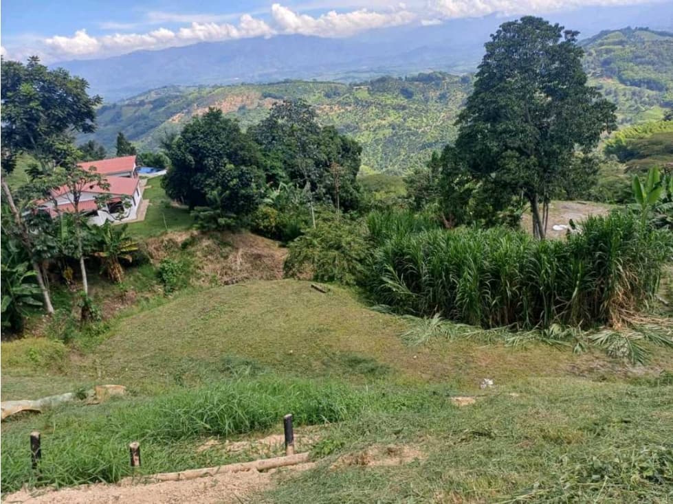 Lote Vereda La Cabaña Manizales - 1