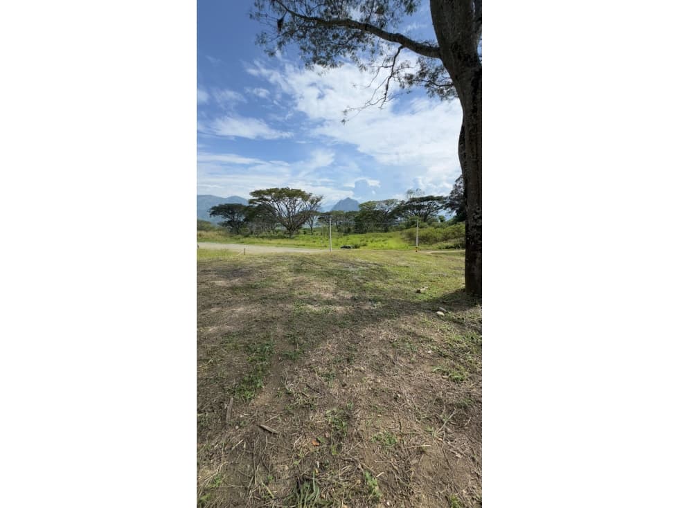 Lotes cerca a la Pintada.buen clima. Excelente opción - 1