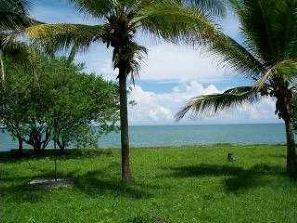 LOTES EN VENTA A LA ORILLA DEL MAR CARIBE - 1