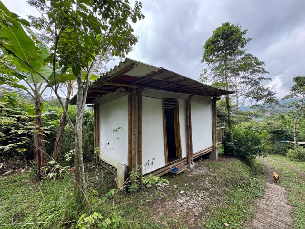 RENTO APARTAMENTO CAMPESTRE EN LA VEREDA GORGONIA SANTA ROSA DE CABAL - 1