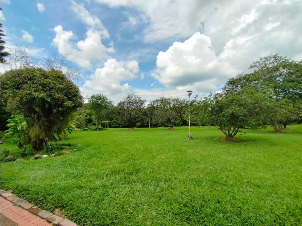 RENTO LOTE CAMPESTRE PARA DESARROLLO COMERCIAL EN CERRITOS, PEREIRA. - 1