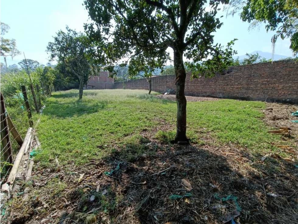 Se vende casalote 1000 mtrs² La Palmita Pacho c/marca - 1