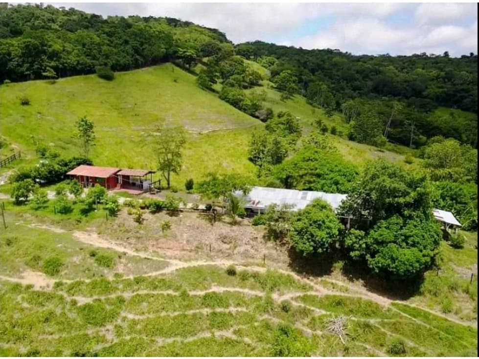 Se vende finca Ganadera en san Carlos antioquia - 1