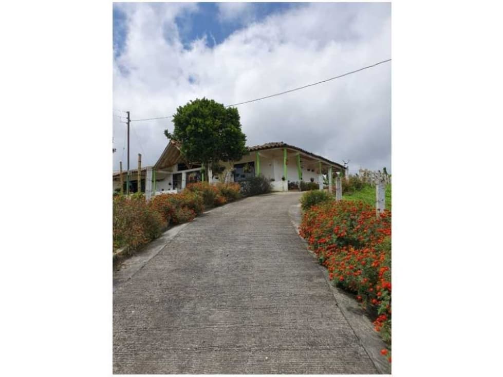 SE VENDE FINCA PRODUCTIVA EN CIRCASIA QUINDIO - 1