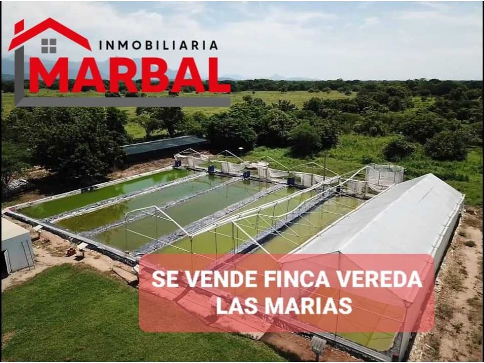 SE VENDE FINCA VIA VEREDA LAS MARIAS - 1
