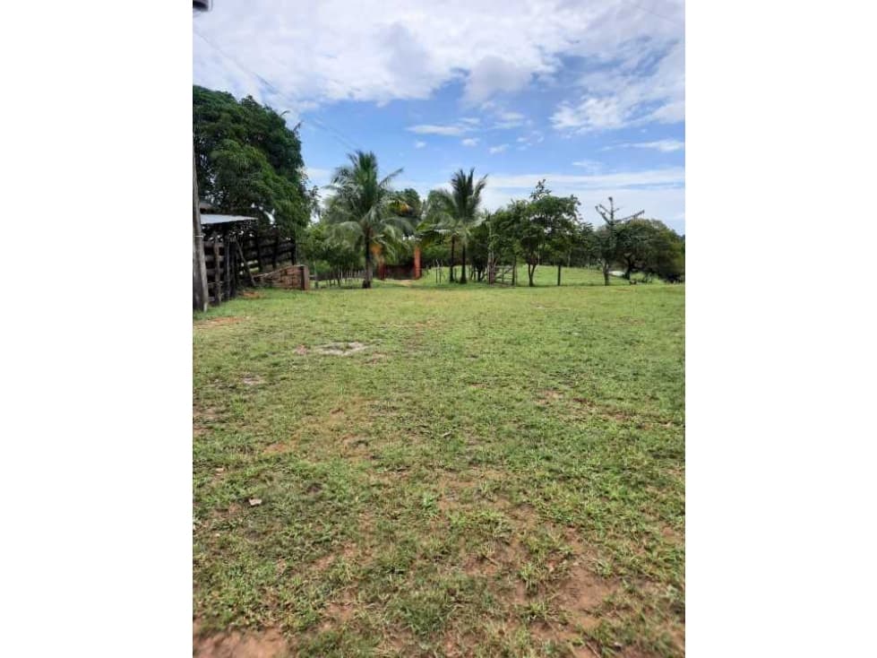 Se vende hermosa finca de 90 hectáreas - 1