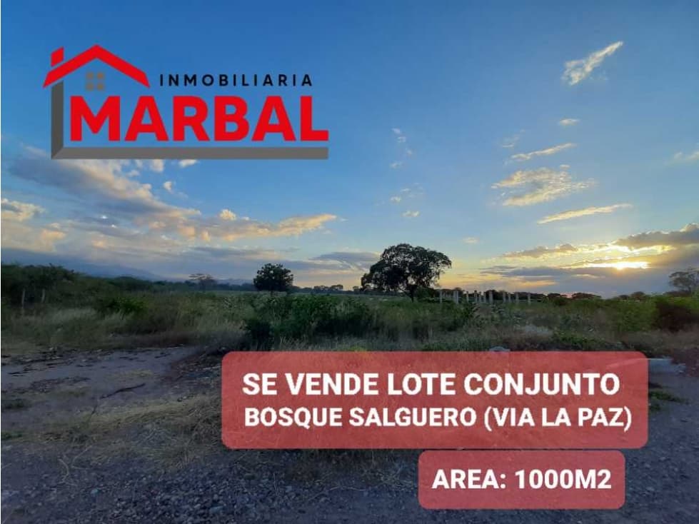 SE VENDE LOTE CONJUNTO BOSQUE SALGUERO - VIA LA PAZ - 1