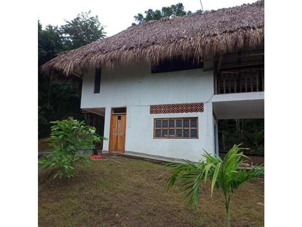 Se vende lote en el sector de palomino, 1350m2, a 20 minutos del mar - 1