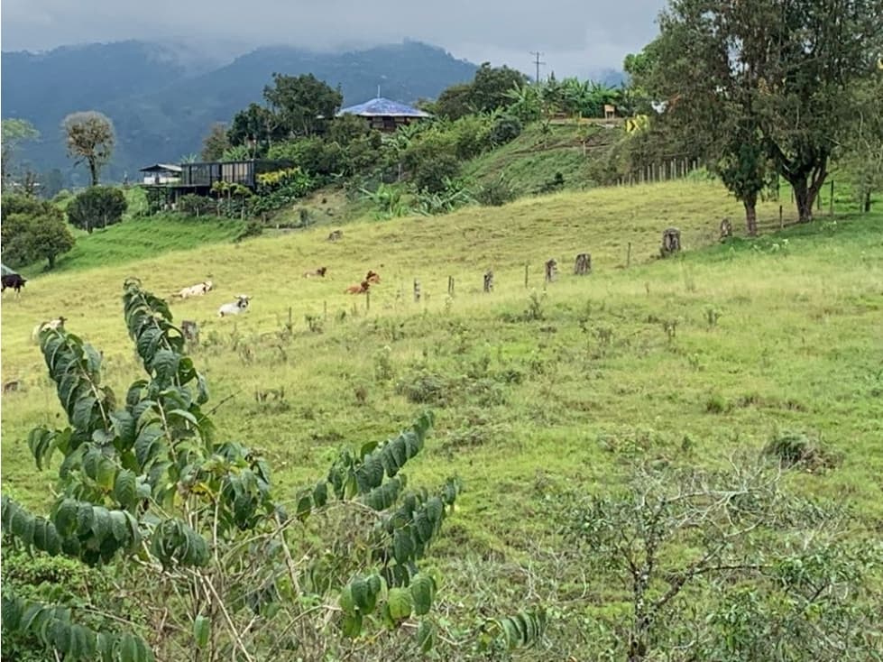 SE VENDE LOTE VÍA A CIRCACIA - 1