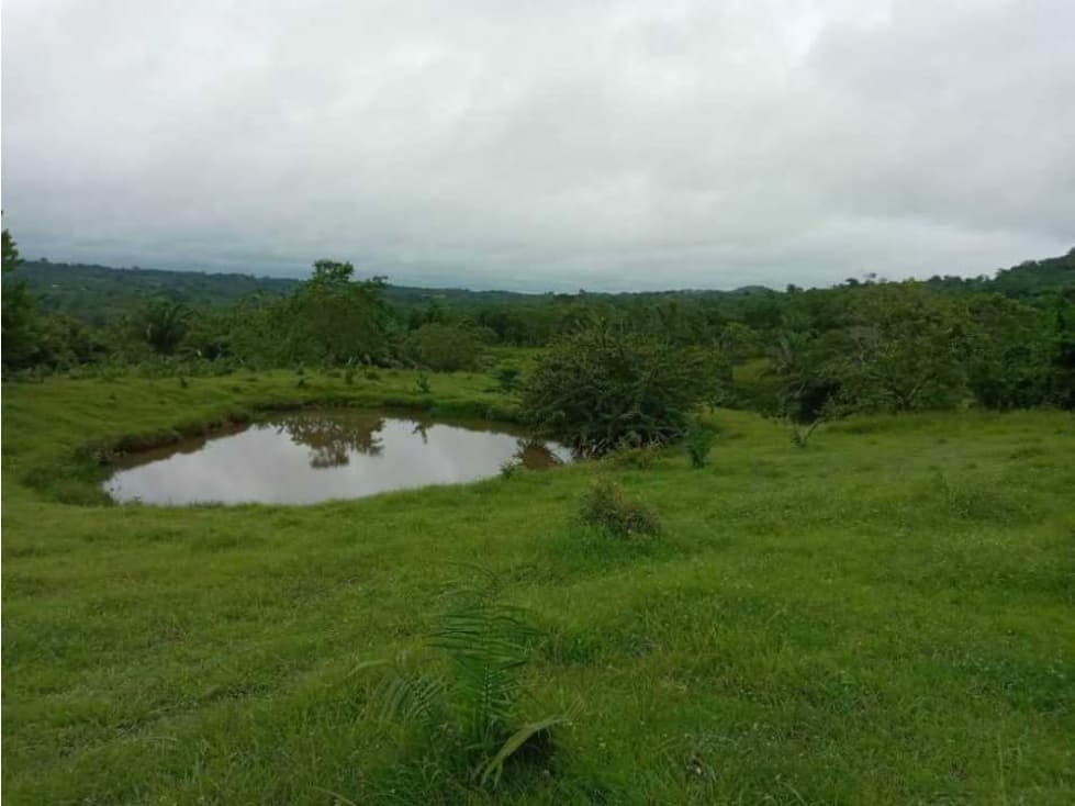 FINCA EN VENTA EN COVEÑAS SUCRE - 1